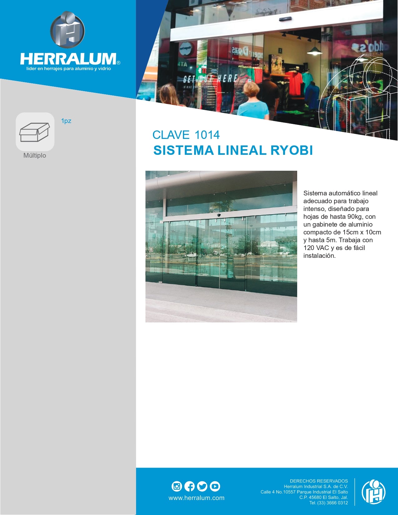 SISTEMA LENEAL RYOBI